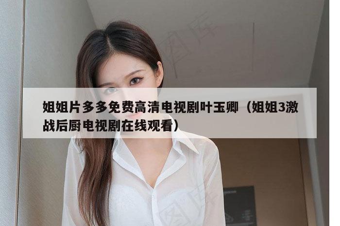 姐姐片多多免费高清电视剧叶玉卿（姐姐3激战后厨电视剧在线观看）