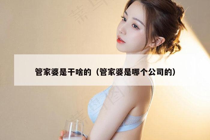 管家婆是干啥的（管家婆是哪个公司的）